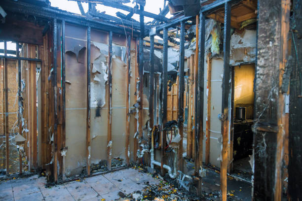 Professional Smoke Damage Removal technician working in Lake Lakengren, OH